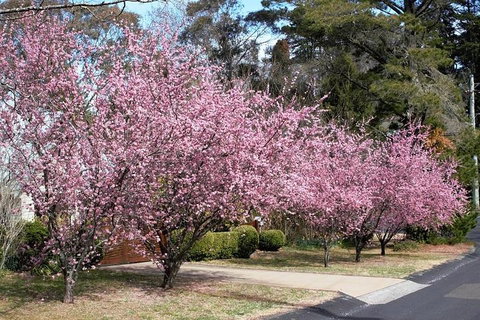 Blue Mountains - Nambucca Heads Accommodation 1