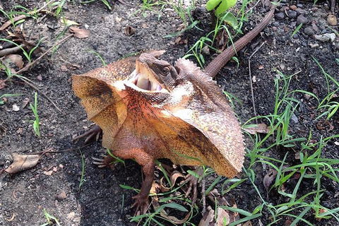 Litchfield National Park And Jumping Crocodile Cruise - Nambucca Heads Accommodation 1