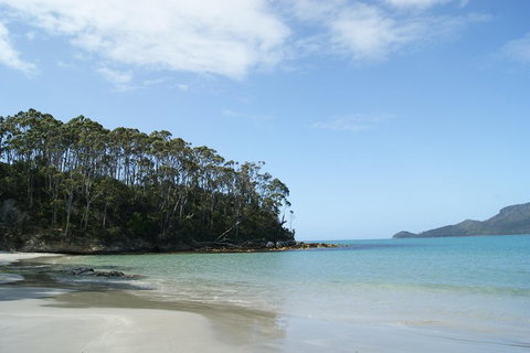 Bruny Island Day Trip From Hobart - Nambucca Heads Accommodation 1
