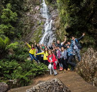 5-Day Lap of Tasmania Tour from Hobart flexible ticket - Nambucca Heads Accommodation