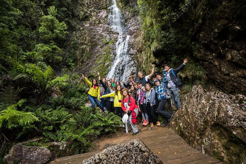 5-Day Lap Of Tasmania Tour From Hobart (flexible Ticket) - Nambucca Heads Accommodation 0