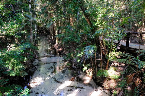 Fraser Island 4WD Tour From Rainbow Beach - Nambucca Heads Accommodation 0