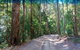 Fraser Island 4WD Tour From Rainbow Beach - thumb 4