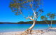 Fraser Island 4WD Tour From Rainbow Beach - thumb 5