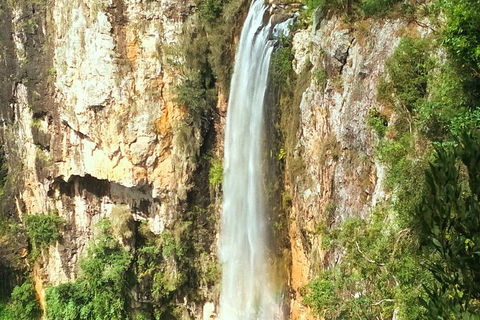 Natural Arch, Rainforest & Volcano Canyon - Private Half Day Tour - Nambucca Heads Accommodation 2