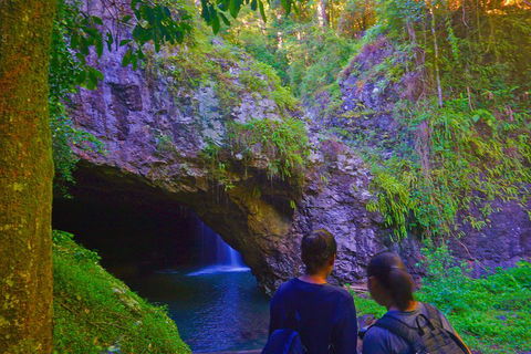 Natural Arch, Rainforest & Volcano Canyon - Private Half Day Tour - Nambucca Heads Accommodation 4