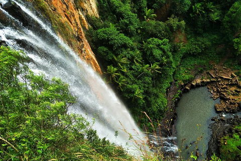 Natural Arch, Rainforest & Volcano Canyon - Private Half Day Tour - Nambucca Heads Accommodation 5