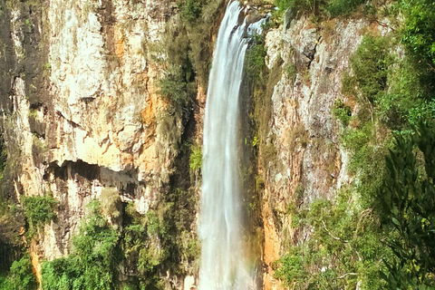 Private Tour - Rainforest & Waterfalls Extravaganza - Nambucca Heads Accommodation 0