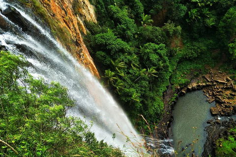 Private Tour - Rainforest & Waterfalls Extravaganza - Nambucca Heads Accommodation 2