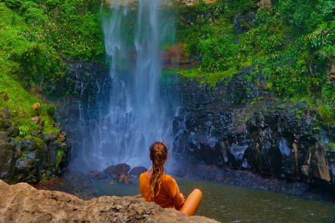 Private Tour - Rainforest & Waterfalls Extravaganza - Nambucca Heads Accommodation 3