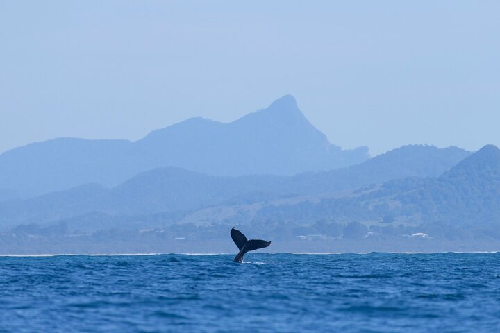  Nambucca Heads Accommodation