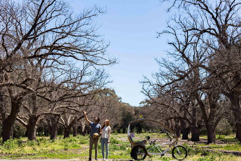 Adelaide 90-Minute Pedicab Tour: Scenic Green & River Experience - Nambucca Heads Accommodation 1