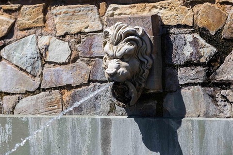 Adelaide 90-Minute Pedicab Tour: Scenic Green & River Experience - Nambucca Heads Accommodation 3