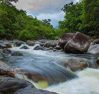 Cape Tribulation Day Tour - Nambucca Heads Accommodation