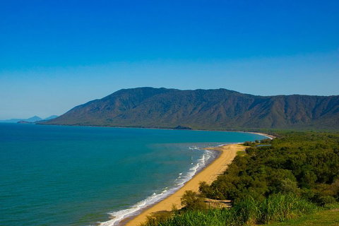 Cape Tribulation Day Tour - Nambucca Heads Accommodation 1