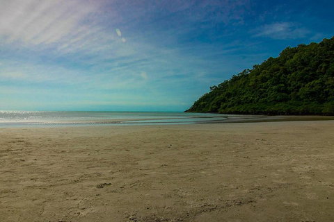 Cape Tribulation Day Tour - Nambucca Heads Accommodation 2