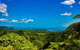 Cape Tribulation Day Tour - thumb 3