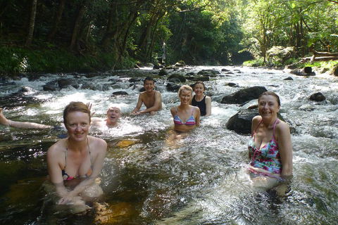 Daintree Rainforest, Cape Tribulation, Mossman Gorge Small-Group Day Tour - Nambucca Heads Accommodation 0