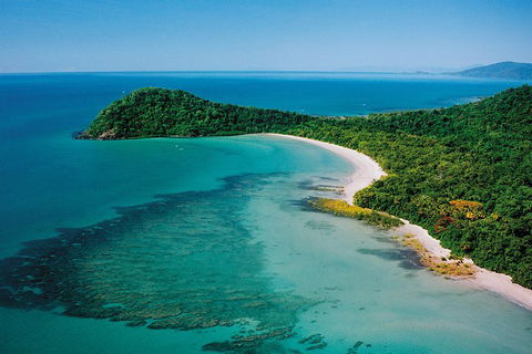Daintree Rainforest, Cape Tribulation, Mossman Gorge Small-Group Day Tour - Nambucca Heads Accommodation 4