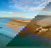 Town of 1770 Afternoon Cruise - Nambucca Heads Accommodation