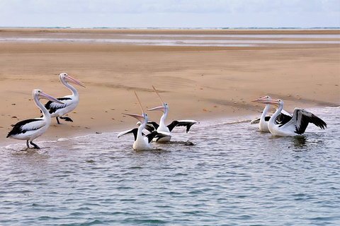 Town Of 1770 Afternoon Cruise - Nambucca Heads Accommodation 4