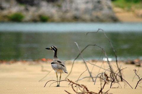 1770 Coastline Tour By LARC Amphibious Vehicle Including Picnic Lunch - Nambucca Heads Accommodation 3