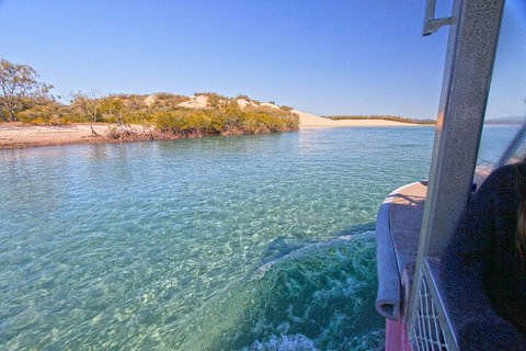 1770 Coastline Tour By LARC Amphibious Vehicle Including Picnic Lunch - Nambucca Heads Accommodation 5