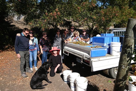 Valleys Of Vino Tour - Nambucca Heads Accommodation 1