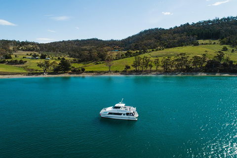 Deep-to-Dish: Tasmanian Seafood Experience - Nambucca Heads Accommodation 0