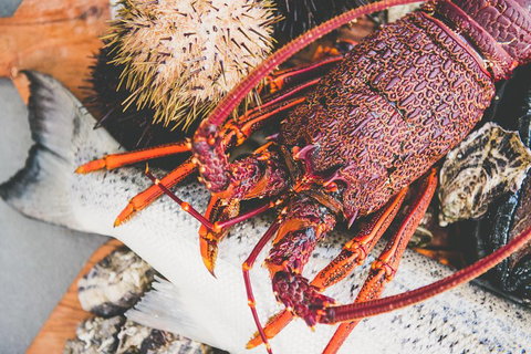 Deep-to-Dish: Tasmanian Seafood Experience - Nambucca Heads Accommodation 2