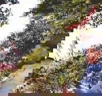 illi-Langi The Rocks Aboriginal Dreaming Tour - Nambucca Heads Accommodation