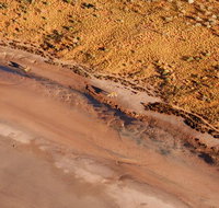 Scenic Flight Lizard Safari - Nambucca Heads Accommodation