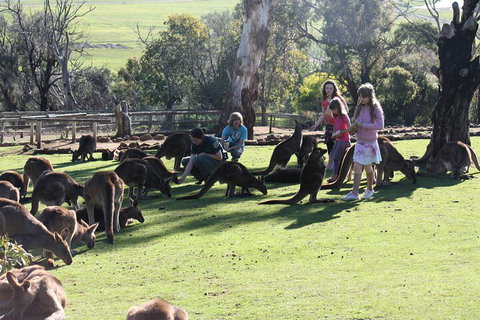 The Port Arthur MEGA Day Trip From Hobart - Nambucca Heads Accommodation 5