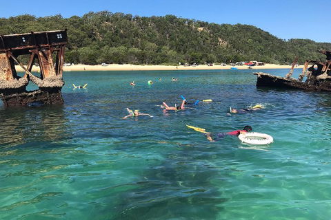 All Inclusive Dolphin And Tangalooma Wrecks Cruise - Nambucca Heads Accommodation 0