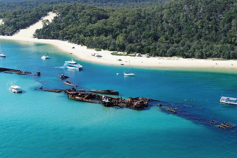 All Inclusive Dolphin And Tangalooma Wrecks Cruise - Nambucca Heads Accommodation 4