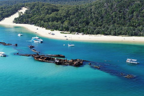 All Inclusive Tangalooma Wrecks Cruise Tour From Gold Coast - Nambucca Heads Accommodation 0