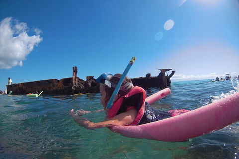 All Inclusive Tangalooma Wrecks Cruise Tour From Gold Coast - Nambucca Heads Accommodation 3