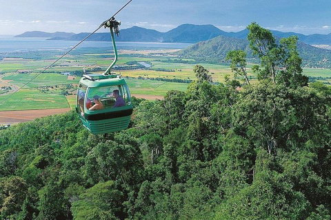 Kuranda Day Tour, TKS-RFS GRAND GOLD PLUS 0930 - Nambucca Heads Accommodation 0