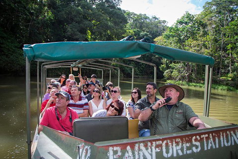 Kuranda Day Tour, TKS-RFS GRAND GOLD PLUS 0930 - Nambucca Heads Accommodation 5