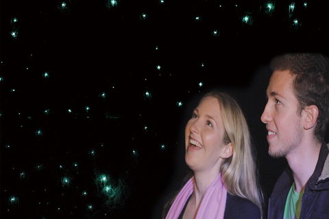 Natural Bridge Glow Worm Night Tour From Gold Coast - Nambucca Heads Accommodation 3