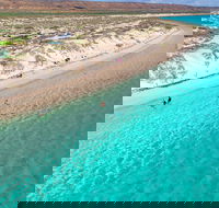 Ningaloo in a Day - Full Day Hike and Snorkel Tour with Lunch - Nambucca Heads Accommodation