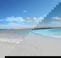 Shipwreck Special Nature Tour/Half Day Tour - Nambucca Heads Accommodation