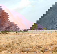 Uluru Sunrise and Guided Base Walk - Nambucca Heads Accommodation