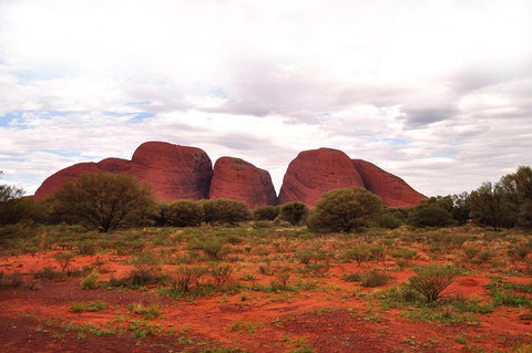 Ayers Rock Combo: Uluru Base And Sunset Plus Uluru Sunrise And Kata Tjuta With An Optional BBQ Dinner Or Kings Canyon Day Trip - Nambucca Heads Accommodation 1