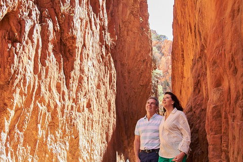 Best Of Alice Springs Full Day Tour - Nambucca Heads Accommodation 4