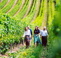 Tasmanian Wine Tour - Nambucca Heads Accommodation