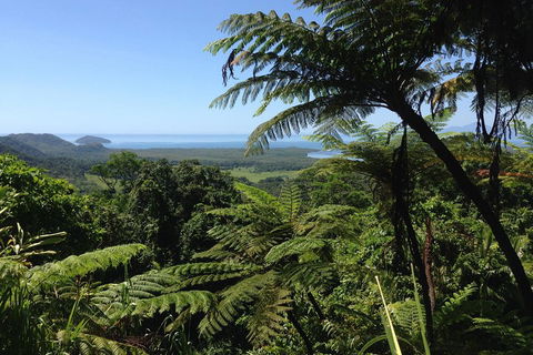 Daintree And Cape Tribulation Full Day Guided Tour - Nambucca Heads Accommodation 2
