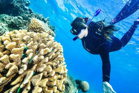 Green Island Day Trip From Cairns - Nambucca Heads Accommodation 1