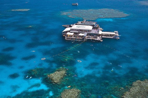 Quicksilver Outer Great Barrier Reef Snorkel Cruise From Palm Cove - Nambucca Heads Accommodation 1