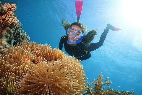Quicksilver Outer Great Barrier Reef Snorkel Cruise From Palm Cove - Nambucca Heads Accommodation 2
